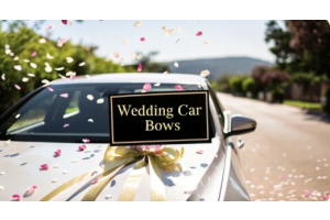 Wedding car Bows