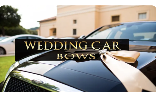 Wedding-Car-Bows